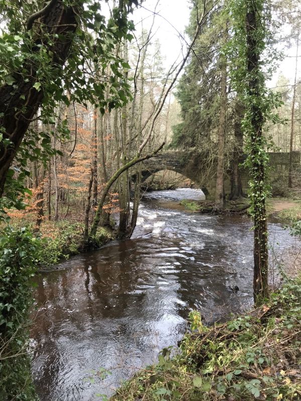 devils water 